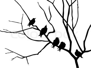 320x240 Bird On Branch Silhouette On Solar Background, Vector Illustrati