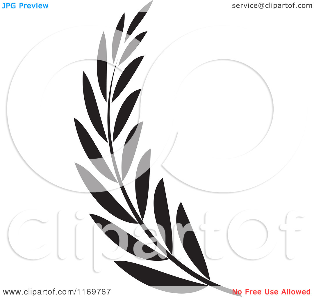 1080x1024 Branch Clipart Black Olive Many Interesting Cliparts