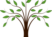 210x150 Clip Art Olive Tree Clip Art