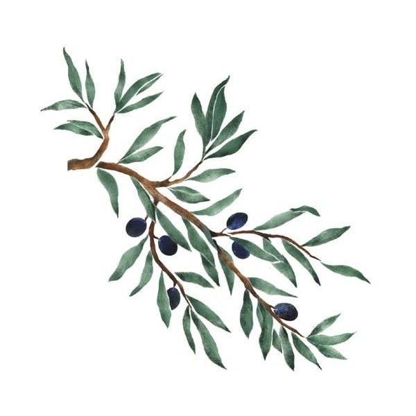 600x600 Drawing Of Olive Tree