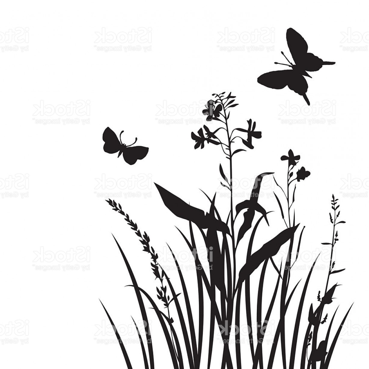 1228x1228 Butter Fly And Flower Vector Black And White Createmepink
