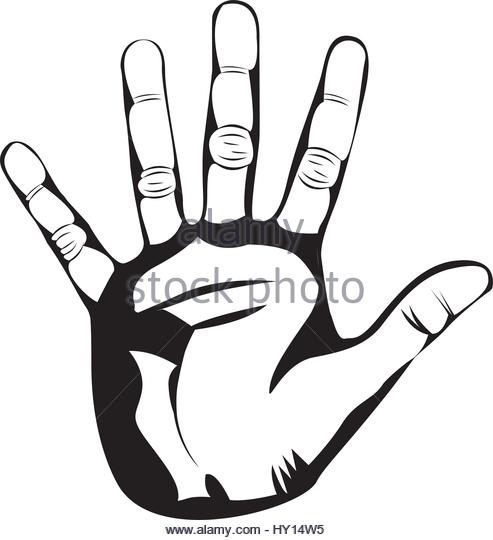 493x540 Hand Palm Illustration Stock Photos Amp Hand Palm Illustration Stock