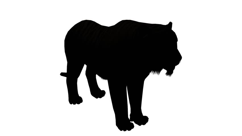 852x480 Tiger Open Mouth Roar Sketch Silhouette,wildlife Animals Habitat