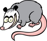 189x164 Opossum Animal Cartoon Character Vector Premium Clipart