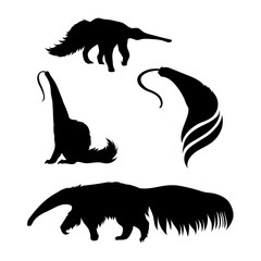 240x240 Vector Silhouettes Of A Opossum.