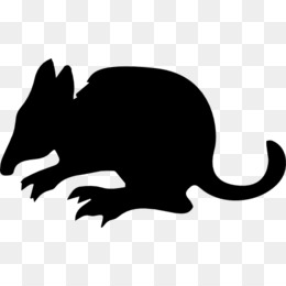 260x260 Free Download Mammal Silhouette Opossum