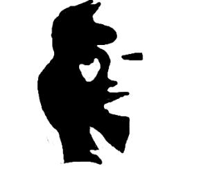 300x250 That's What She Said