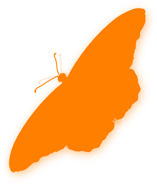 510x598 Orange Butterfly Silhouette Clip Art