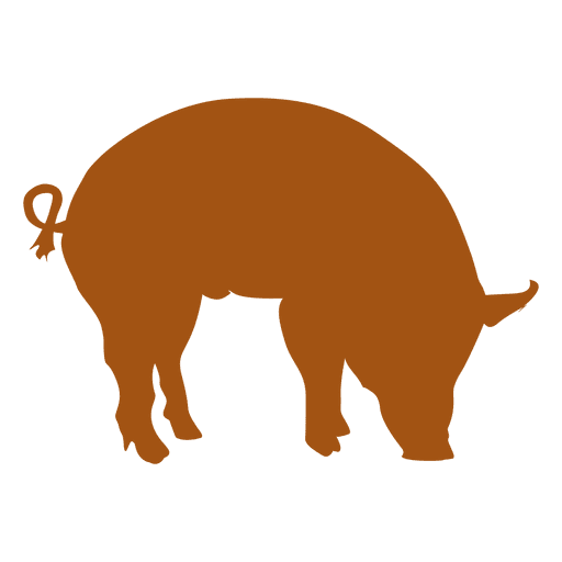 512x512 Orange Pig Silhouette