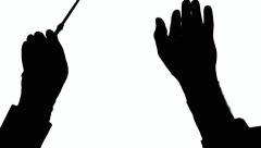240x136 Orchestra Leader White Hands Silhouette 2 ~ Footage