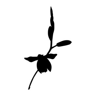 339x340 Free Silhouette Vector Lily, Up