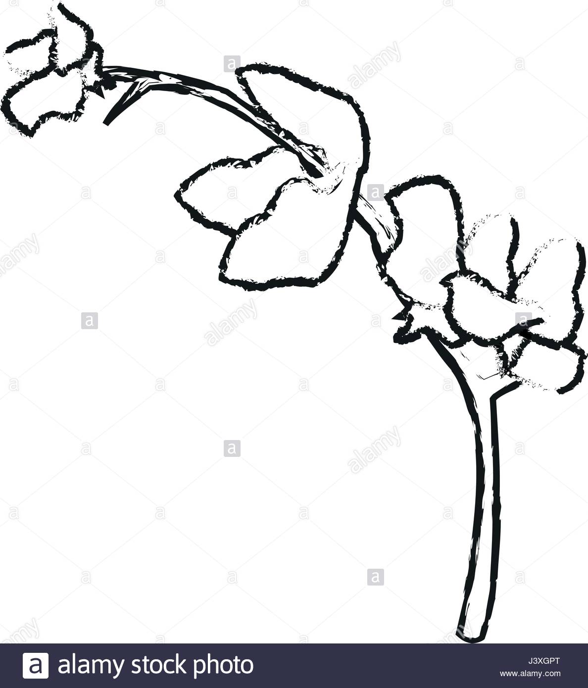 1188x1390 Blurred Silhouette Image Flower Exotic Orchid Branch Stock Vector