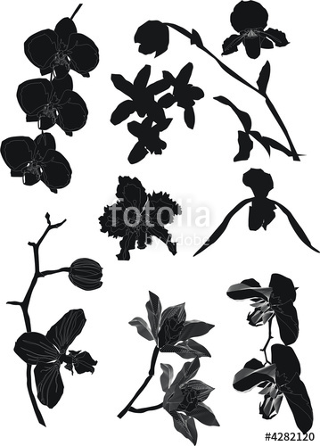 359x500 Large Set Of Flower Silhouettes Stock Image And Royalty Free