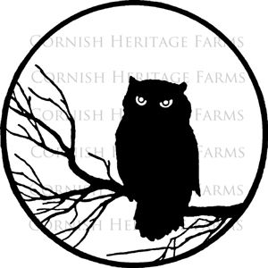 300x300 Owl Silhouette, Cute To Yudu On A Shirt For My Origami Owl Jewelry