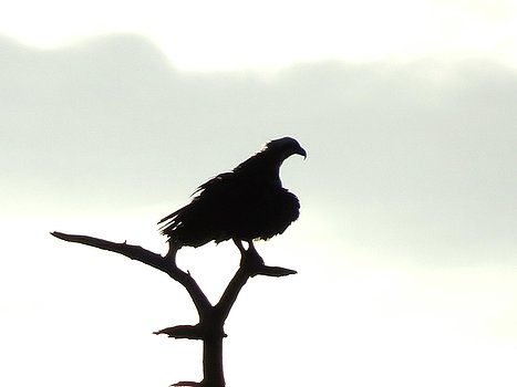 467x350 Camryn Zee Photography