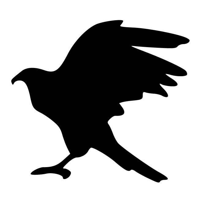 660x660 Eagle Bird Silhouette