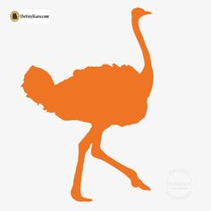 236x236 Ostrich Silhouette Ostriches Silhouette