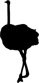 127x266 Ostrich Silhouette Silhouette Of Ostrich