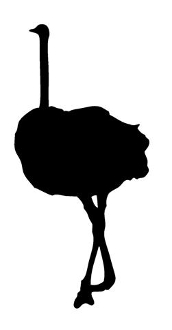 172x330 Ostrich Silhouette 2 Decal Sticker