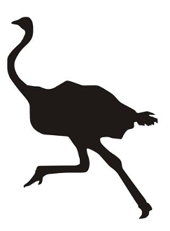 243x330 Ostrich Silhouette 3 Decal Sticker