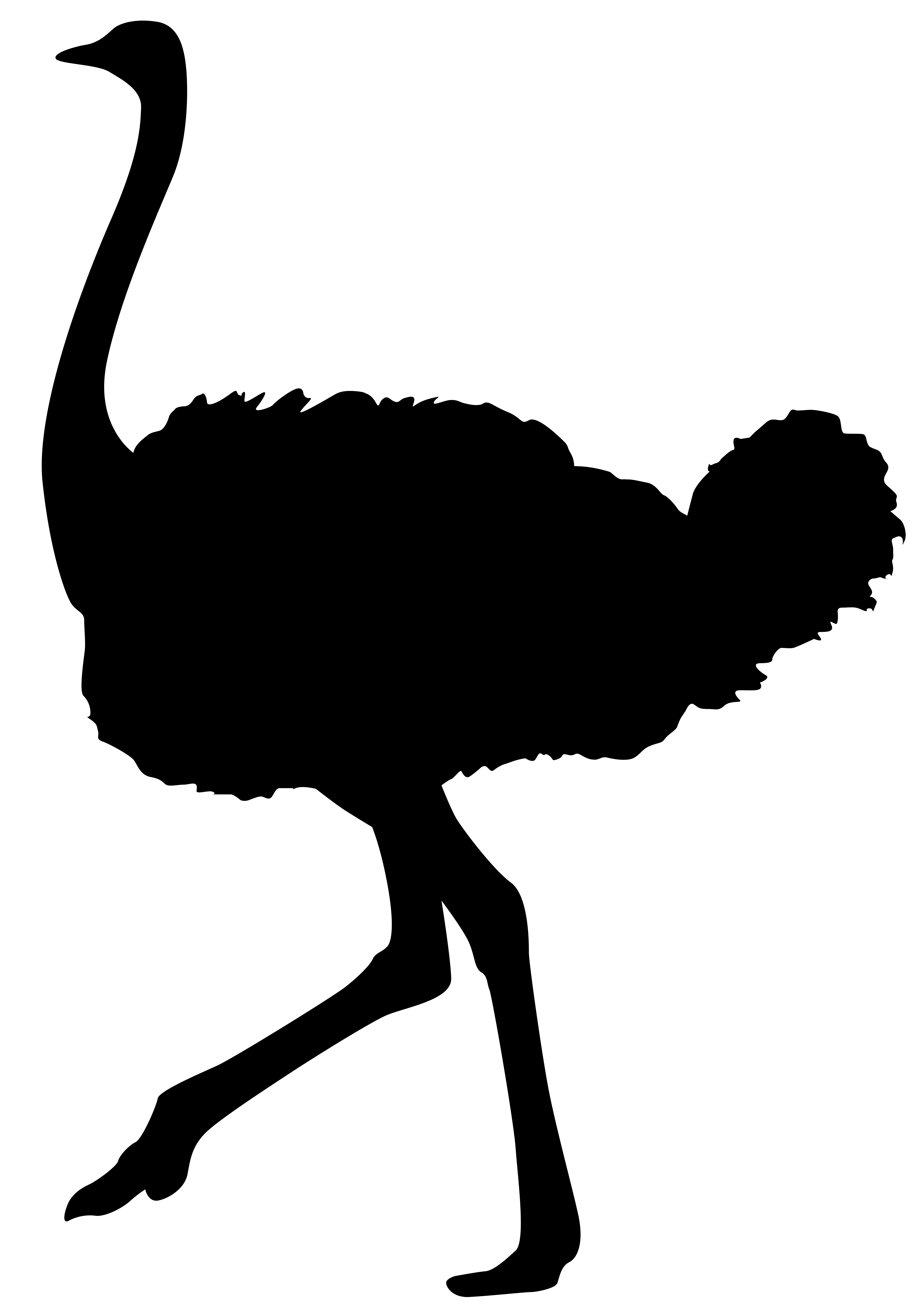 5629x8000 Ostrich Silhouette Png Transparent Clip Art Image Ostriches