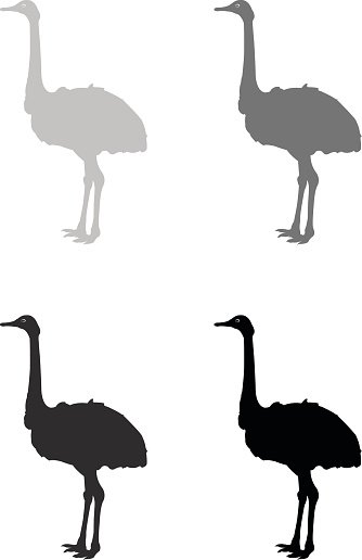 334x516 Ostrich Silhouette Premium Clipart