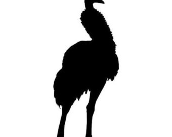 340x270 Ostrich Decal Etsy