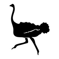 200x200 Shape Shapes Silhouette Silhouettes Cutout Cut Out Bird Birds