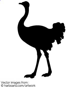 335x355 Download Ostrich Silhouette