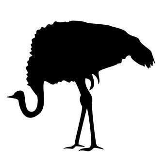 340x340 Free Silhouettes Animal, Bird, Black