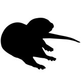 160x160 Otter Silhouette Vector Graphics Stock Image And Royalty Free