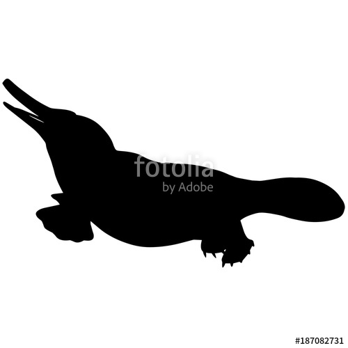 500x500 Platypus Silhouette Vector Graphics Stock Image And Royalty Free