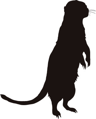 312x385 50 Animal Models And Silhouette Vector Free Vector 4vector