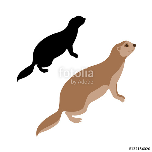 500x500 Gopher Vector Illustration Style Flat Stock Image And Royalty