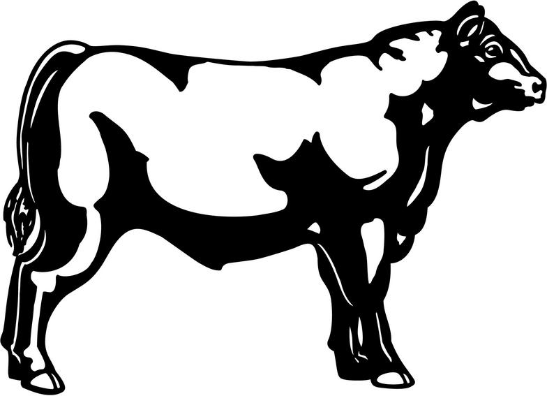 784x567 Bull Clipart Outline