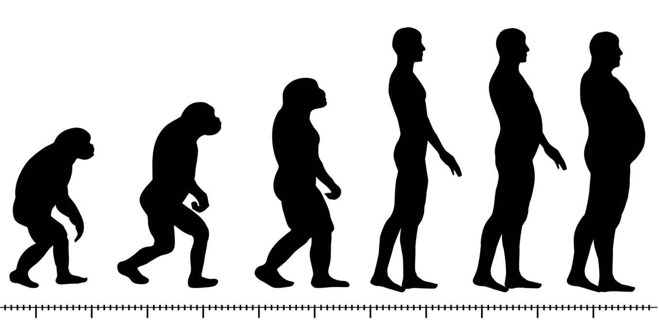 1356x668 Food Supplies May Lead To Obesity