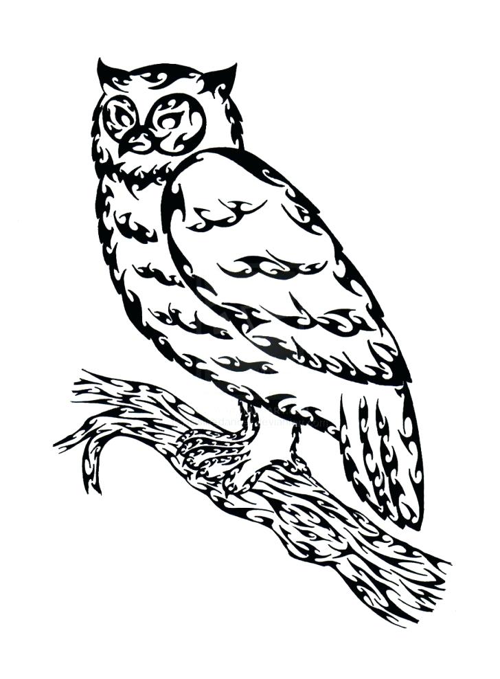 728x988 Outline Of An Owl Wonderful Outline Of An Owl Free Download Clip