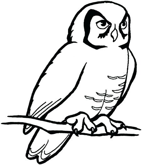 453x525 Owl Drawing Outline Owl Line Icon Inspired Closets