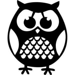 300x300 Owl