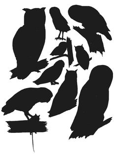 236x315 Owl Silhouette Stencil