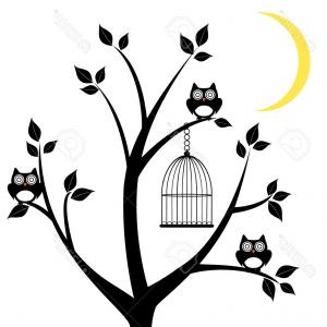 300x300 Cute Owl Vector Art Cutting Template Createmepink