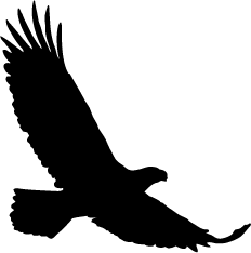 232x234 Eagle Silhouette Silhouette Of Eagle