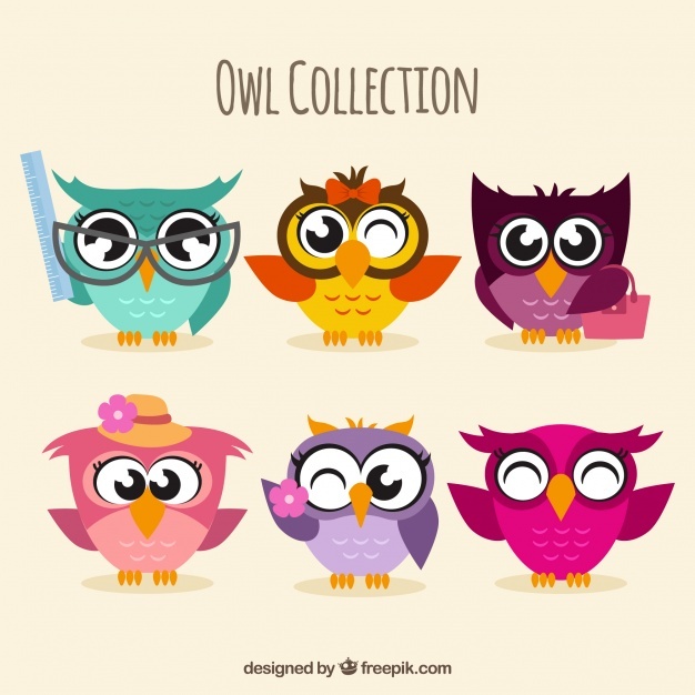 626x626 Owl Vectors, Photos And Psd Files Free Download