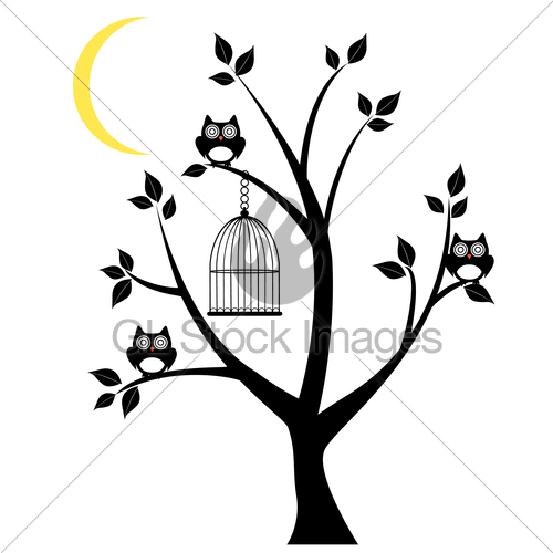 500x500 Owl Tree Gl Stock Images