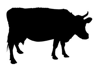 320x227 Cow Silhouette V6 Decal Sticker