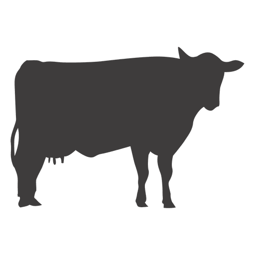 512x512 Dairy Cattle Silhouette Ox Livestock