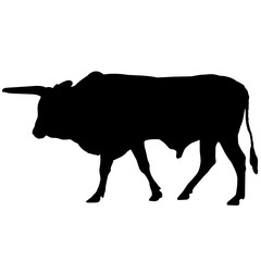 240x240 Ox Silhouette Vector Graphics
