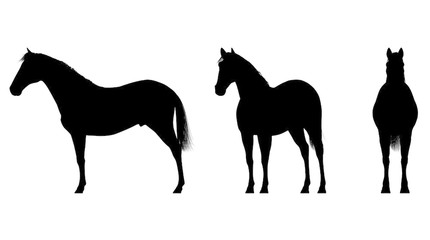 430x240 Search Photos By Paul Herbert