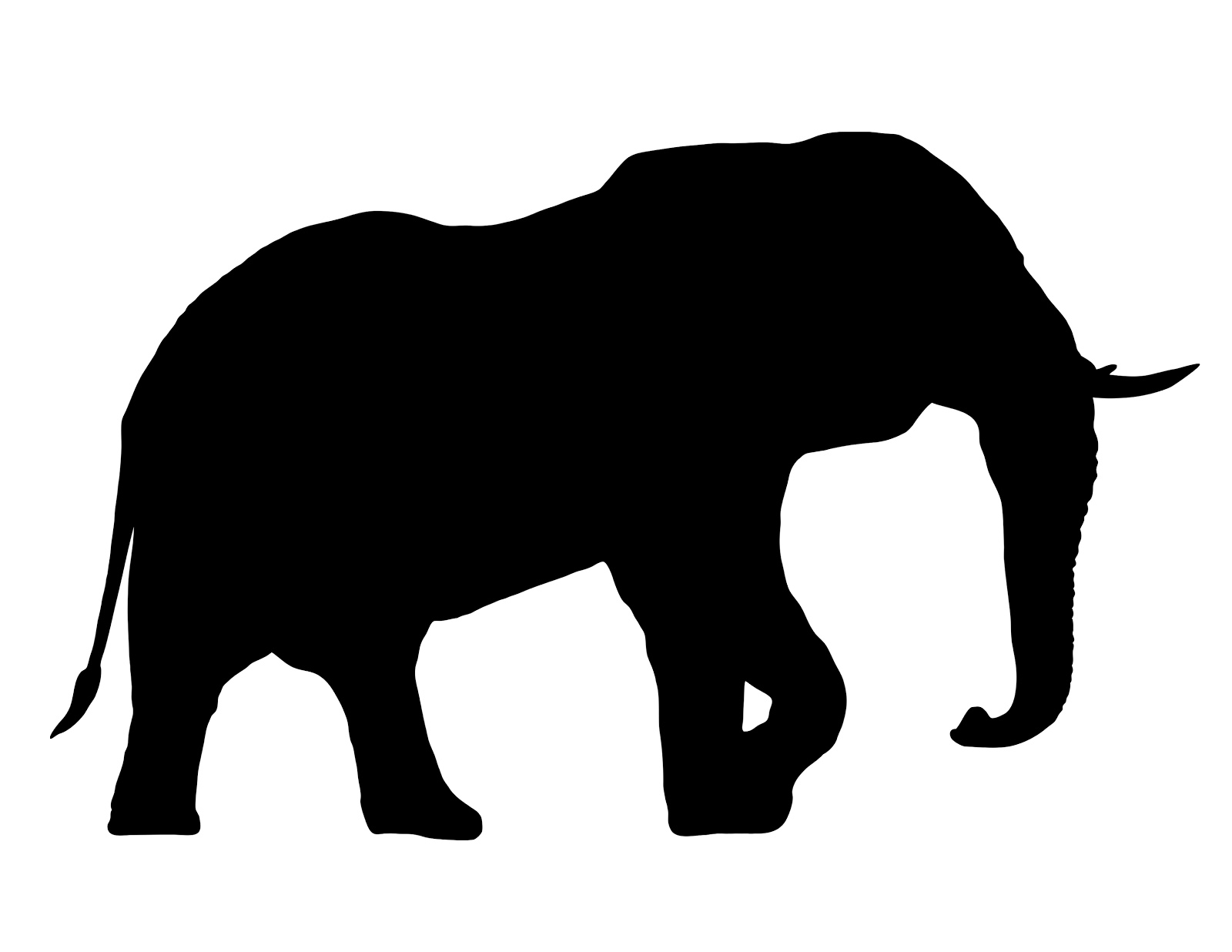 1600x1236 African Elephant Silhouette Trunk Up