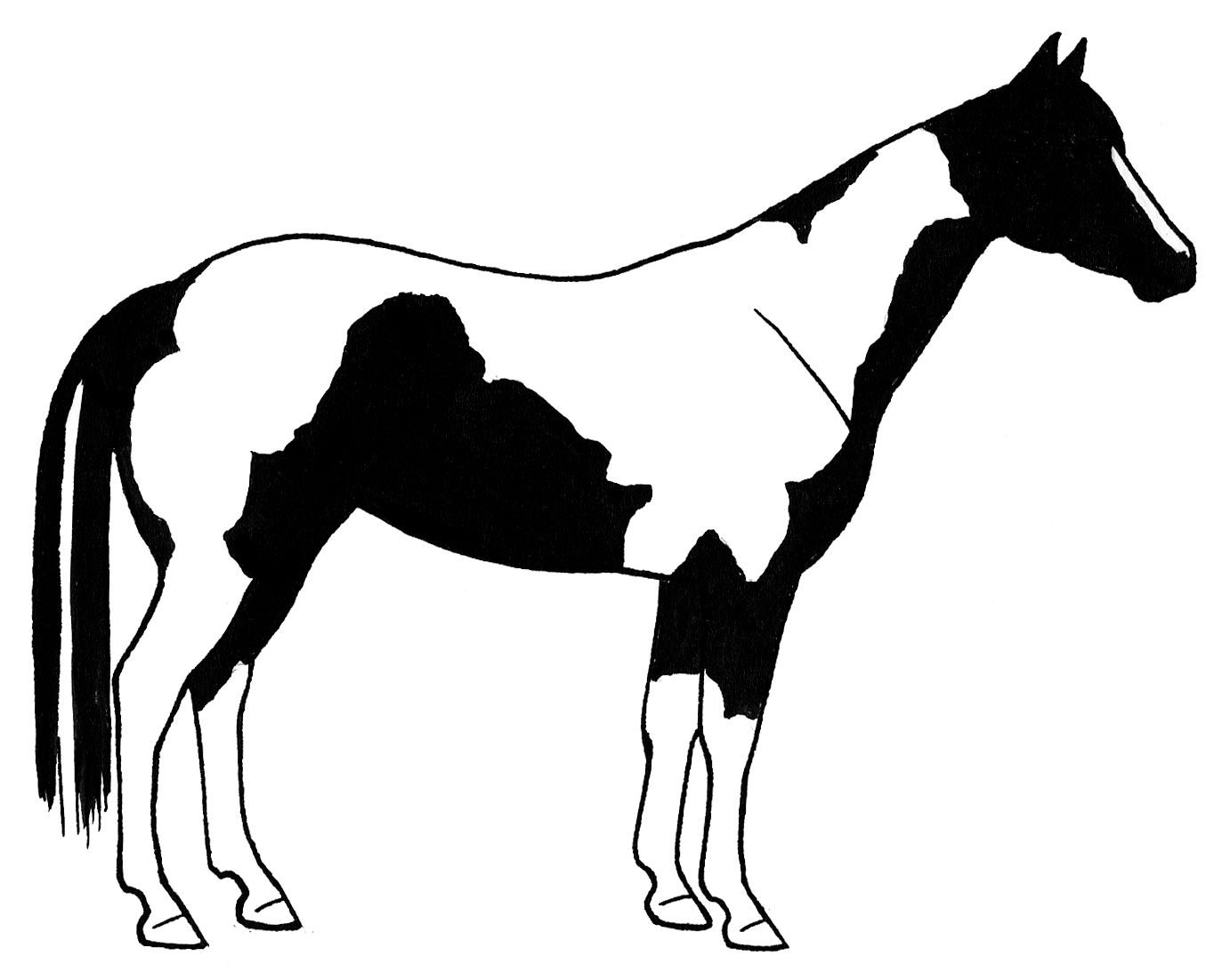 1364x1102 Horse Riding Clipart Paint Horse